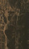 Настенная плитка S.M. Frappuccino Dark / S.M. Фраппучино Дарк керамическая