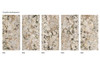 Керамогранит Xtone Alpinus White Texture 160х320 Porcelanosa матовый, структурированный универсальная плитка 100340336