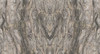 Керамогранит Frappuccino 120x270 Matt (6 мм) Zodiac Ceramica матовый универсальная плитка MN319CY271206
