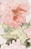 Декор Гардения Бежевый 25х40 Belleza глянцевый керамический 04-01-1-09-03-11-652-0