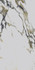 Керамогранит CR201 Fantasy Mix Primavera 60x120 carving универсальный