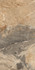 Керамогранит Breccia Viola 80х160 р167065 Creto глянцевый универсальный MPL-055314