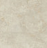 Керамогранит 1325S Брюссель Бежевый Светлый Матовый 9.8x9.8 Kerama Marazzi универсальная плитка