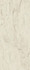 Настенная плитка Marvel Cremo Delicato 50x120 матовая керамическая