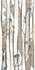 Декор 03908B Majestic Pure Grove Lev Ret 60x120 (8.5 мм) Piemme керамогранит полированный