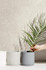 Керамогранит R8WV Stratford White Struttura Foglia 3D 60x120 Marazzi Ragno матовый настенный УТ-00026396