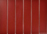 Мозаика Porcelain mosaic Mosaic 4.5x19.5 Y45P846 Красная матовая керамогранит 19.5х28.8 см чип 45х195 мм