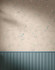 Настенная плитка True Color Wind Flower Matt 50x120 Fap Ceramiche матовая керамическая fTFD