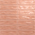 Настенная плитка Sticks Coral 20x20 Absolut Keramika глянцевая керамическая