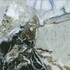 Керамогранит 951839LPR01VTE0 CityMarble Амазония Мультиколор 7ЛПР R9 60x60 Vitra лаппатированный (полуполированный) универсальный УТ-00027500