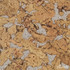 IberCork Кориа бланко 600x300 Пробковые настенные покрытия в пластинах EasyCork клеевое соединение