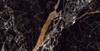 Керамогранит Satyar Black Polished 60х120 Novin Ceram Yazd Tile Co полированный универсальный N9418T35