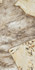 Керамогранит Marvel Desert Soul 60x120 Lappato Atlas Concorde Italy лаппатированный (полуполированный) универсальный AFXQ