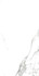 Керамогранит Carrara X Satin 60x120 Realistik сатинированный универсальный 58664