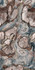 Керамогранит Magic Santorini Exotic Seron 80x160 полированный универсальный