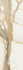 Настенная плитка Warm Wind Gold Sciana Struktura Rekt. Połysk 29,8x89,8 g1 Paradyz Ceramika глянцевая, рельефная (структурированная) керамическая SSR-298X898-1-WAWI.GO
