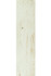 Настенная плитка W- Sfumato wood керамическая