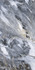 Керамогранит Almond Gris 60х120 Alpas Cera полированный универсальный УТ000033542