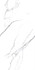 Керамогранит Sharm White Matt 60x120 Art Ceramic матовый универсальная плитка