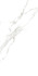 Керамогранит Pearl Statuario (Golden Glossy Carving) 60х120 Belleza полированный универсальная плитка СК000042814