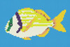 Мозаика Панно Pez Happy 1902x951 (на сетке)
