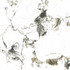 Керамогранит Oyama Leviglass Ambar 120х120 Geotiles полированный универсальный