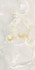 Керамогранит Eternal beige 004 PL Eco Ceramica 60x120 полированный универсальый 921768