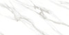 Керамогранит F2010821120G Venezia White Azario 60x120 глянцевый универсальный