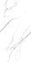 Керамогранит Sharm White Matt 60x120 Art Ceramic матовый универсальная плитка