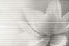 Панно HGD/A200/2x/12102R Борсари, 2 части 25х75, Обрезной 50х75 Kerama Marazzi матовое керамическое