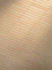 Керамогранит Sensi Terre Sabbia Brick Matte 5.7х23.2 Casa Dolce Casa глазурованный, матовый настенная плитка 787113