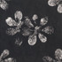 Керамогранит Chymia Ophelia Black 30x30 универсальный матовый