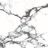 Керамогранит CR103 Blanco Tranco Primavera 60x60 carving универсальный