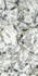 Керамогранит Forte Dei Marmi Quark Ceppo Apuano Forest 80x160 Lapp Atlas Concorde лаппатированный (полуполированный) универсальная плитка 610015000695