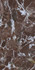 Керамогранит Rubi Red 60x120 Satin Staro Bogema сатинированный универсальная плитка УТ-00001320