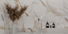 Керамогранит Colonial Bianco 60х120 Absolut Gres полированный универсальный AB 1196G