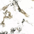 Керамогранит Oyama Leviglass Ambar 120х120 Geotiles полированный универсальный