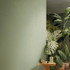 Настенная плитка True Color Matcha Matt 50x120 Fap Ceramiche матовая керамическая fTDV