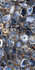 Керамогранит Rock Azul 60x120 High Gloss полированный