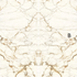Керамогранит Ultra Marmi Calacatta Macchia Vecchia Book B Luc Shiny 150x300 Ariostea полированный универсальный G000076