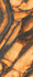 Керамогранит INF3423-4 Tiger All-light Polished Ret 120x278 Fondovalle Infinito 2.0 полированный универсальная плитка