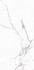 Керамогранит Statuario Venato Satin 60x120 Realistik сатинированный универсальный 58661