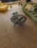 Ламинат A Floor Le Parquet 207 Прага 600х600х14 14 мм 34 класс с фаской