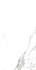 Керамогранит Carrara X Satin 60x120 Realistik сатинированный универсальный 58664