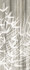 Керамогранит Imagine Shadow Leaves B 120х280 Ava Ceramica матовый настенная плитка 174012