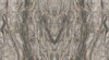 Керамогранит Frappuccino 120x270 Polished (6 мм) Zodiac Ceramica полированный универсальный MN319CP271206