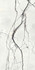Керамогранит SF.BW.BR.NT 3200х1600х6 Arch Skin Stone Calacatta матовый универсальный