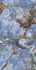 Керамогранит Bluezone Agyaro Blue High Glossy 60х120 полированный
