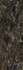 Керамогранит Labradorite Polished 80х240х15 Adicon Slab 2400 полированный универсальная плитка ADI84196