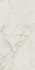 Керамогранит Roma Gold 60x120 Calacatta Delicato Brill Fap Ceramiche полированный универсальный 36933